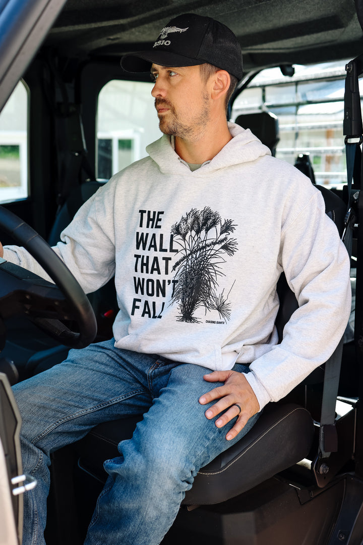 'The Wall' Oatmeal Heather Hooded Sweatshirt